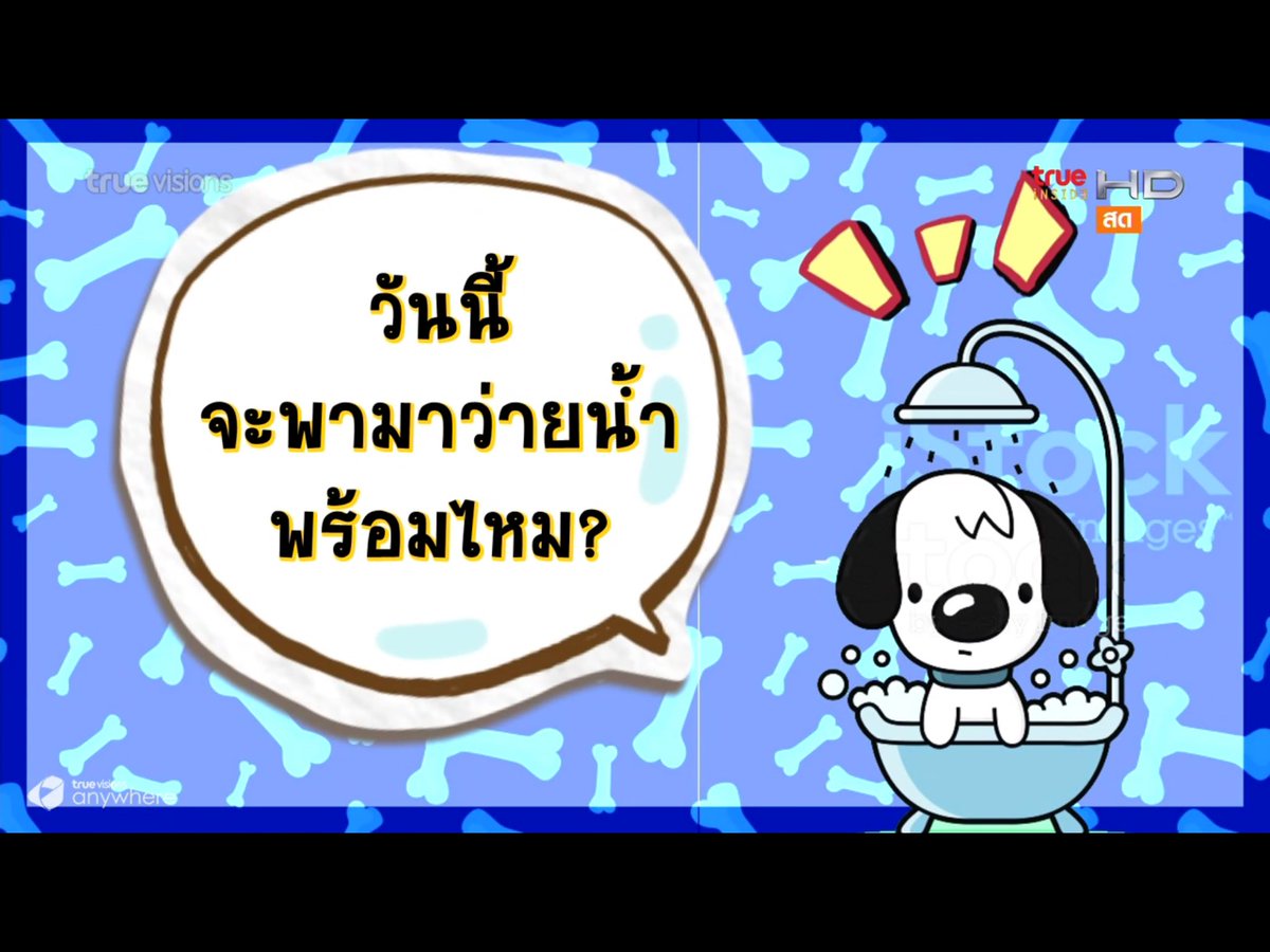 sirithip29's tweet photo. เตรียมพาอาเฟยว่ายน้ำ 🐶💦💦  #Verrginfincon #BrightWichawet #insideweekendspecial https://t.co/E23FccmVWn