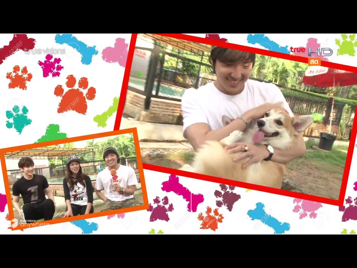 sirithip29's tweet photo. เตรียมพาอาเฟยว่ายน้ำ 🐶💦💦  #Verrginfincon #BrightWichawet #insideweekendspecial https://t.co/E23FccmVWn
