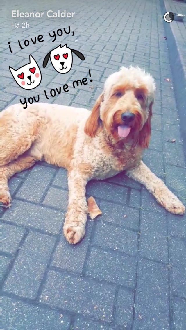 Calder_Brasil's tweet photo. Eleanor no snap hoje | 👻 eleanorsnap https://t.co/svuPjZzd6Q