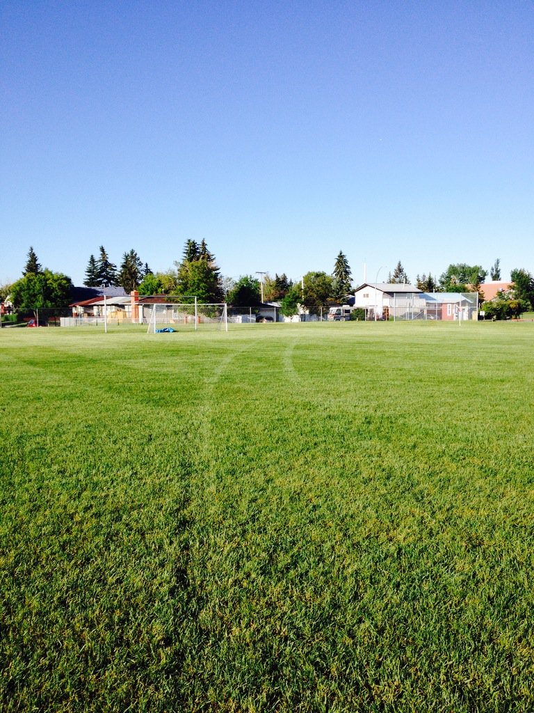 CupDiv's tweet image. its time!!! Diversity Cup in a little bit over a hr! at forest lawn fields #yyc #Diversitycup #youthengagement