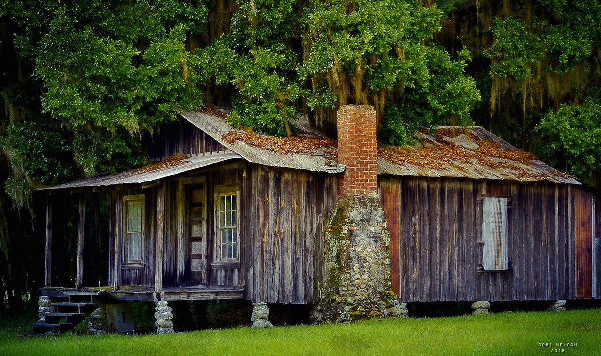 dori_weldon's tweet photo. #Shiloh #Florida #alachuacounty #abandonedbuildings #rural #IloveFl https://t.co/d6ovjtO7xg