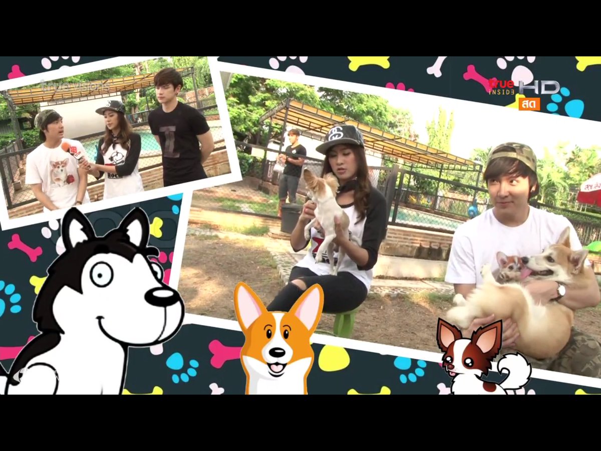 sirithip29's tweet photo. สุดท้าย ฝากดูแลน้องหมาที่เลี้ยงกันด้วยนะครับ 🐶🤗🤗#Verrginfincon #BrightWichawet #insideweekendspecial https://t.co/bBLhleblr5