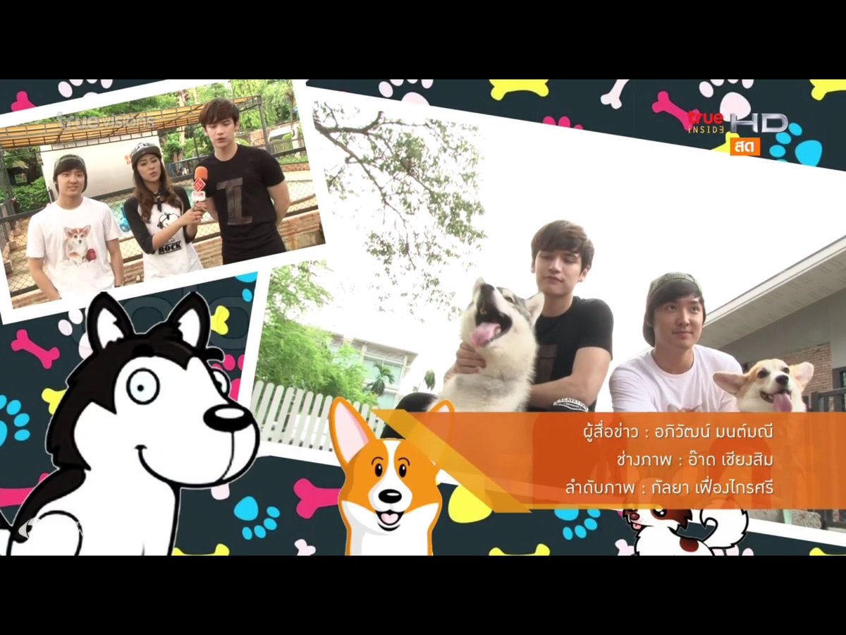 sirithip29's tweet photo. สุดท้าย ฝากดูแลน้องหมาที่เลี้ยงกันด้วยนะครับ 🐶🤗🤗#Verrginfincon #BrightWichawet #insideweekendspecial https://t.co/bBLhleblr5