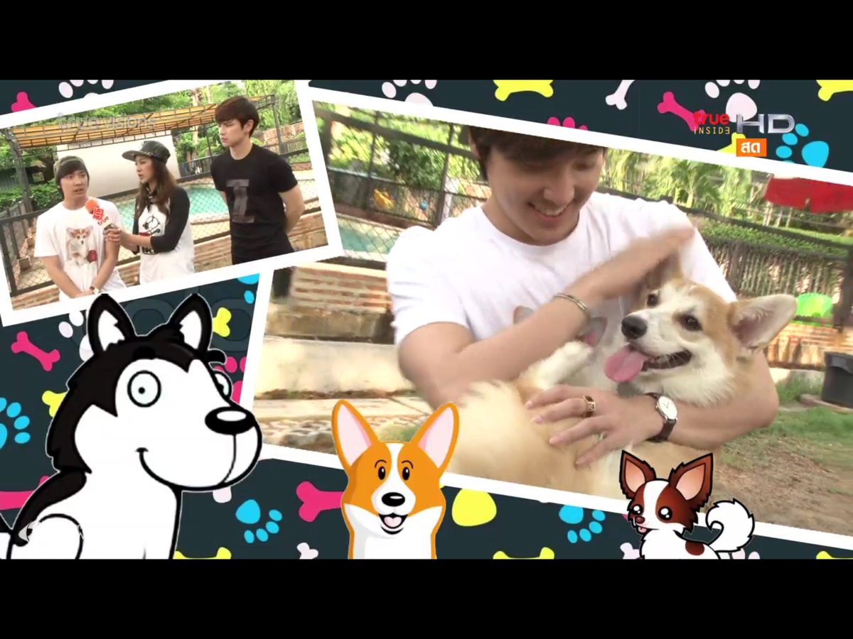 sirithip29's tweet photo. สุดท้าย ฝากดูแลน้องหมาที่เลี้ยงกันด้วยนะครับ 🐶🤗🤗#Verrginfincon #BrightWichawet #insideweekendspecial https://t.co/bBLhleblr5
