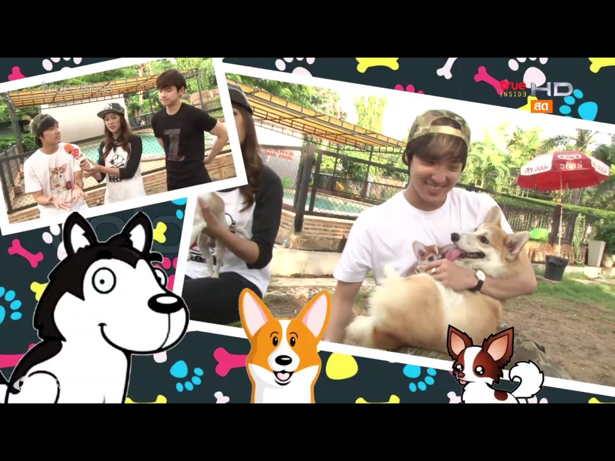 sirithip29's tweet photo. สุดท้าย ฝากดูแลน้องหมาที่เลี้ยงกันด้วยนะครับ 🐶🤗🤗#Verrginfincon #BrightWichawet #insideweekendspecial https://t.co/bBLhleblr5