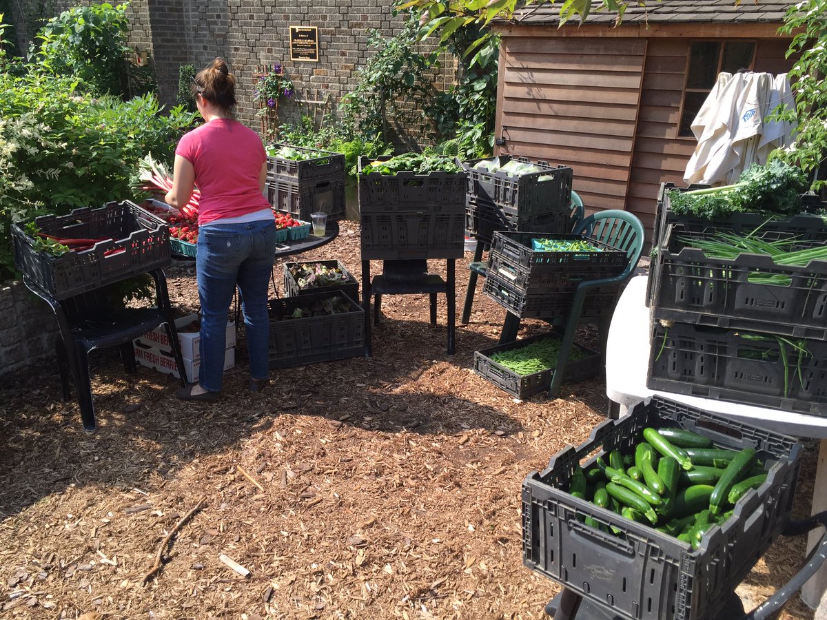 Carroll Gardens CSA tweet media