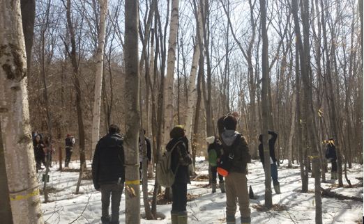 Animal Tracking dan Bird Watching bersama AIMS Tsukuba jenniferhandaja.wordpress.com/2016/06/11/ani…