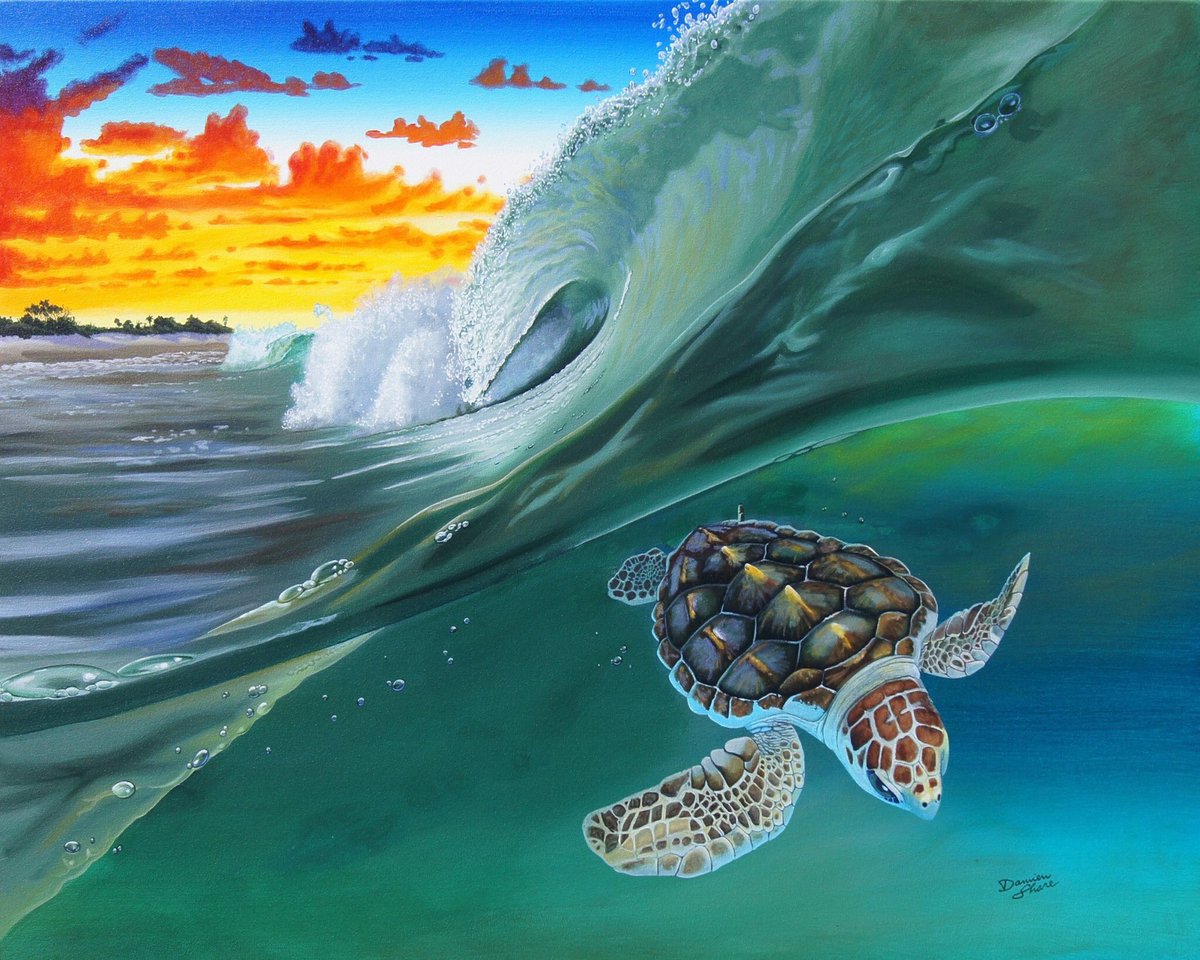 damienshareart's tweet photo. Life isn't about Finding Yourself....
Life is about Creating Yourself....

#surfingturtle #surfart #seaturtleseason https://t.co/ESUh0HlftW
