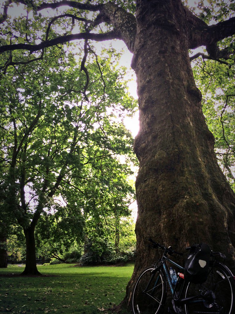 IndiaRakusen's tweet photo. Off the road and into the green... Pretty grateful for road closures today. Moment of peace before work #zenningout https://t.co/AeMOZIuQql