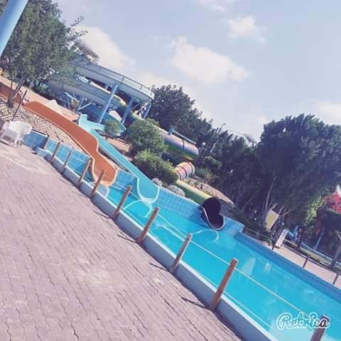 SOrify's tweet photo. https://t.co/Kqo7yNnmdG