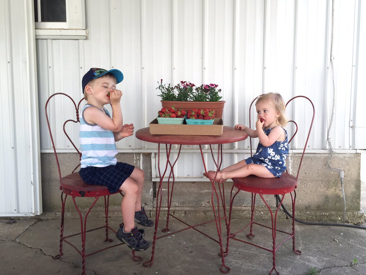 danielleflee's tweet photo. Thanks @codyfarmorchard for the delicious fun this morning 🍓 https://t.co/4zudmjKwmh