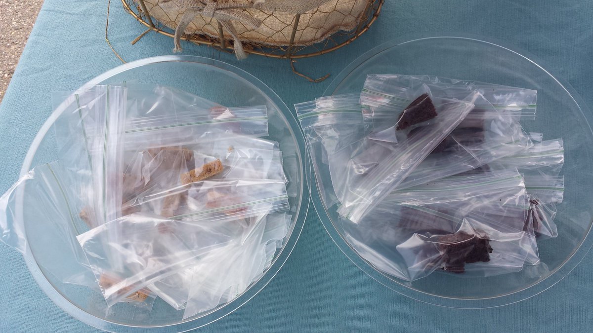 Bananatopia's tweet photo. Samples! Get some while they last at @smartmarkets @SpringfieldTWNC!!! https://t.co/RvuCPlZJmt