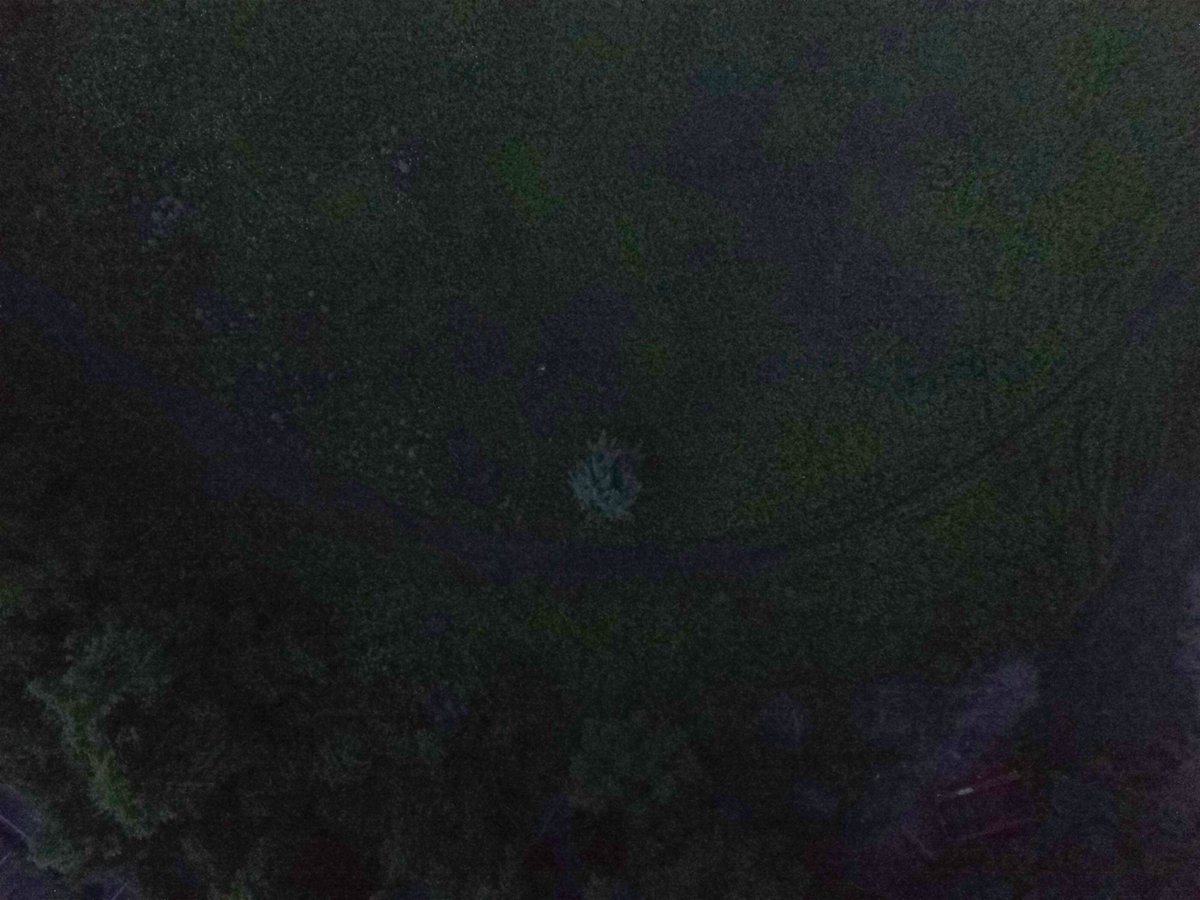 MillstoneValley's tweet photo. Can you find the injured person in the photo? We can, thanks to our #DJI with #FLIR thermal imaging. @SkyfireDrones https://t.co/hiNlmQLHvL