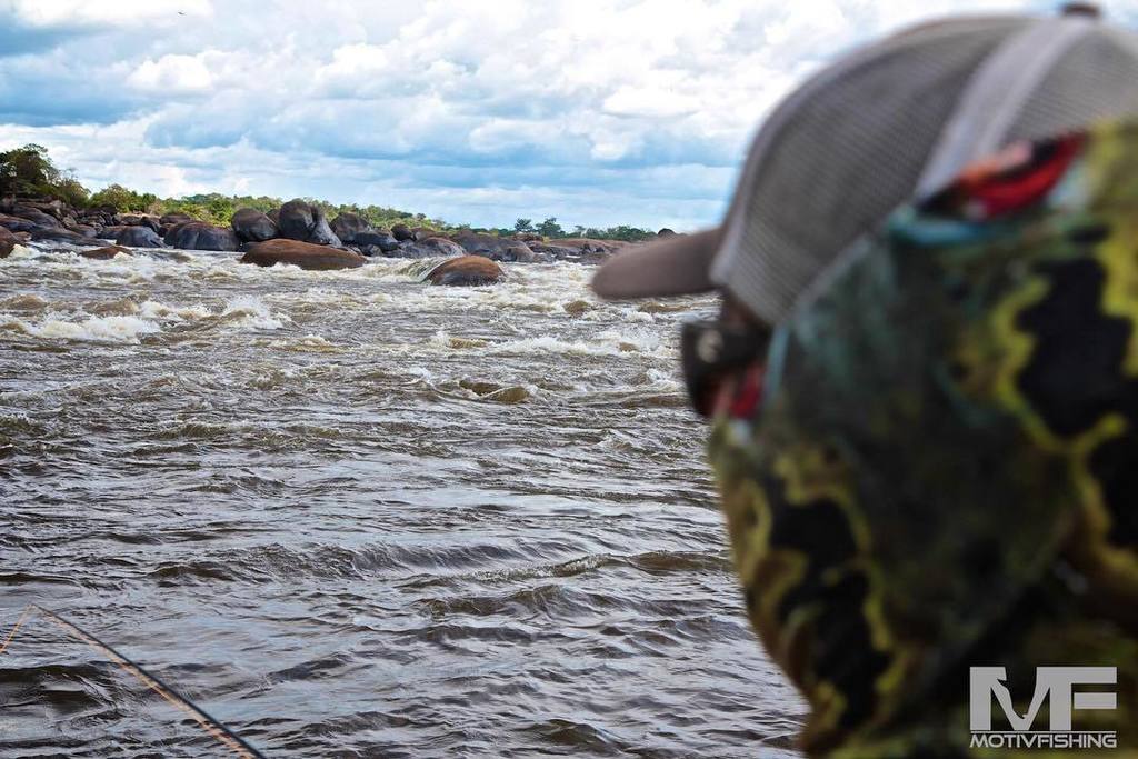 MOTIV FISHING tweet media