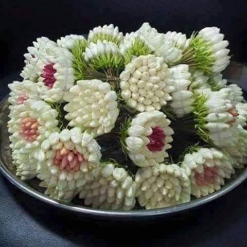 saifadinhammami's tweet photo. @sarathefourth https://t.co/TgY5h1gfpo