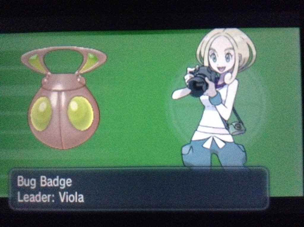 ポケモンｙ英語版日記