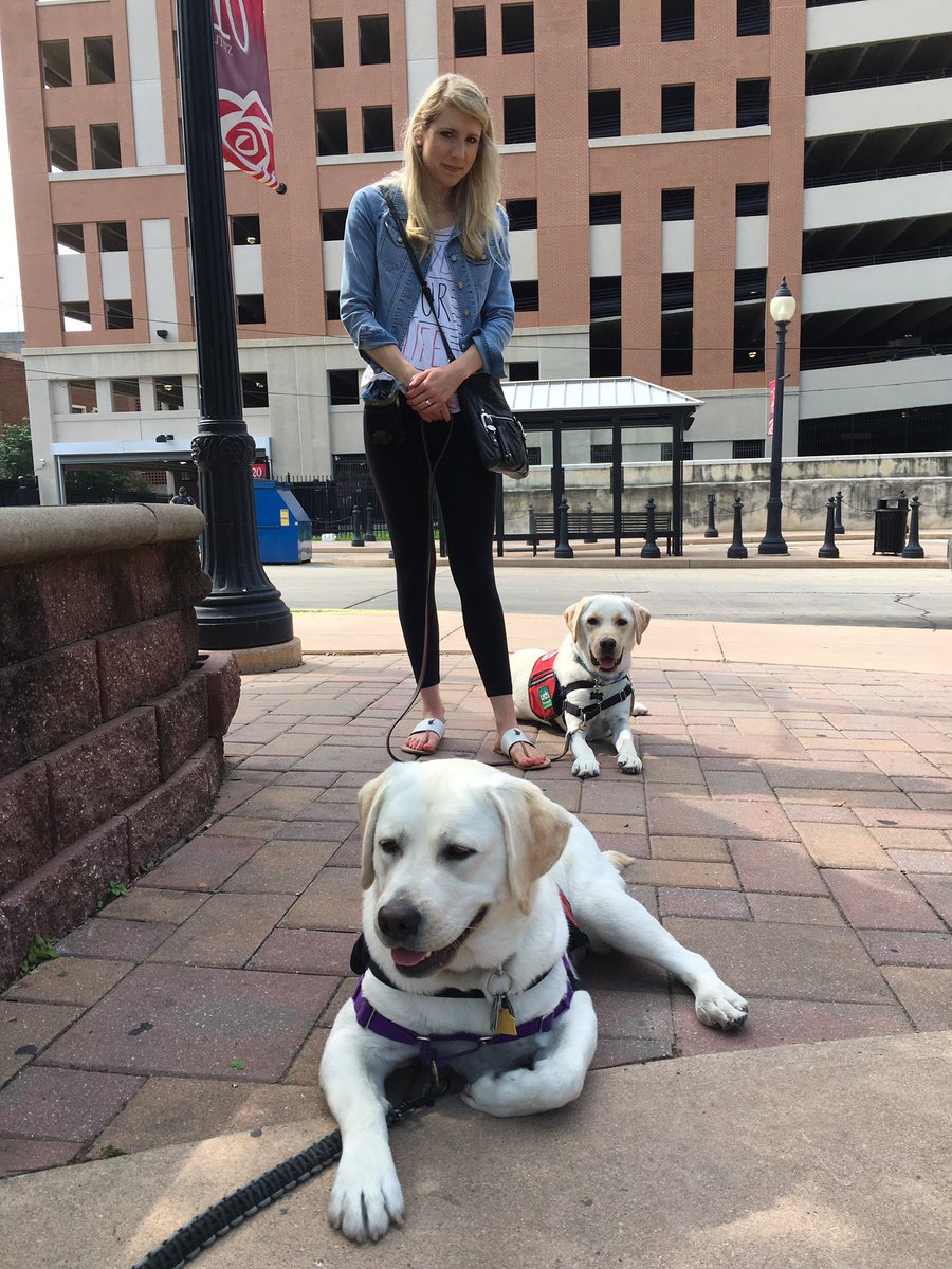 WESpolarbears's tweet photo. School might be over, but our #udservicedogs are on a field trip! #LancasterCity #ridingthebus https://t.co/3xzLPjVeW7