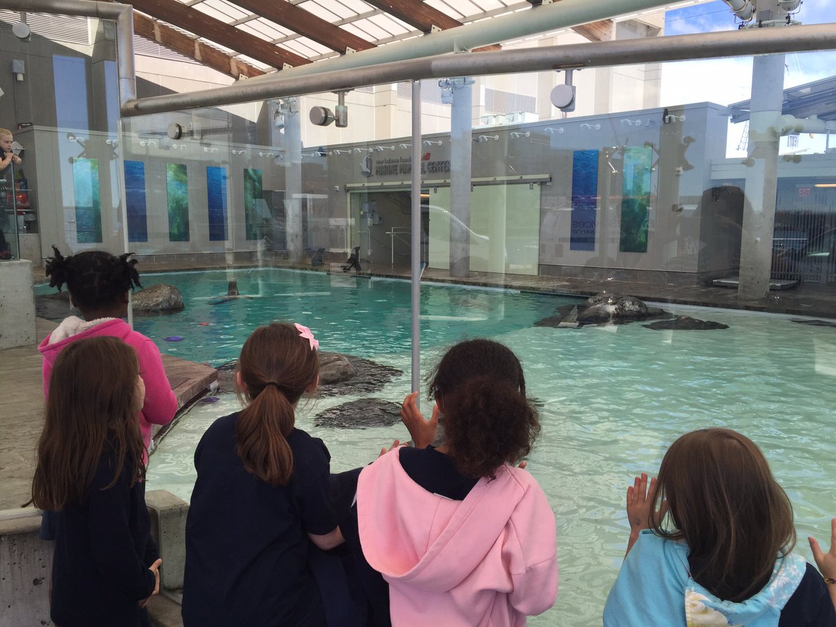 Nicholas_Cuomo's tweet photo. This is how @SJP2CA students learn about science!   #everywhereisaclassroom @kate_brandley https://t.co/yrubPmrYYX