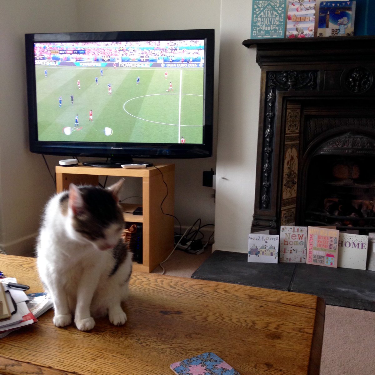 Jo_Bowers's tweet photo. Typical! The minute I look away and #Wales score #EURO2016 2-1 #tenminutestogo https://t.co/8dTmfoTEAN