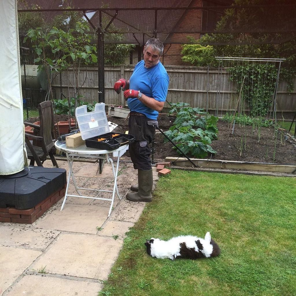 MaMaDolson's tweet photo. Skye supervising the Davinator in the garden #manwithcat #braybournehouse #skyethesupercat https://t.co/eGm7tcRDAF https://t.co/rthTU8kXuW
