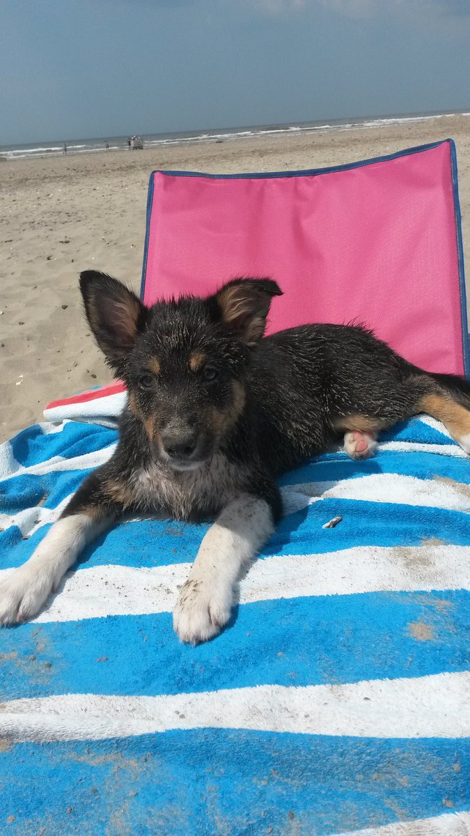 Aussie STAN (@heidert72) on Twitter photo 