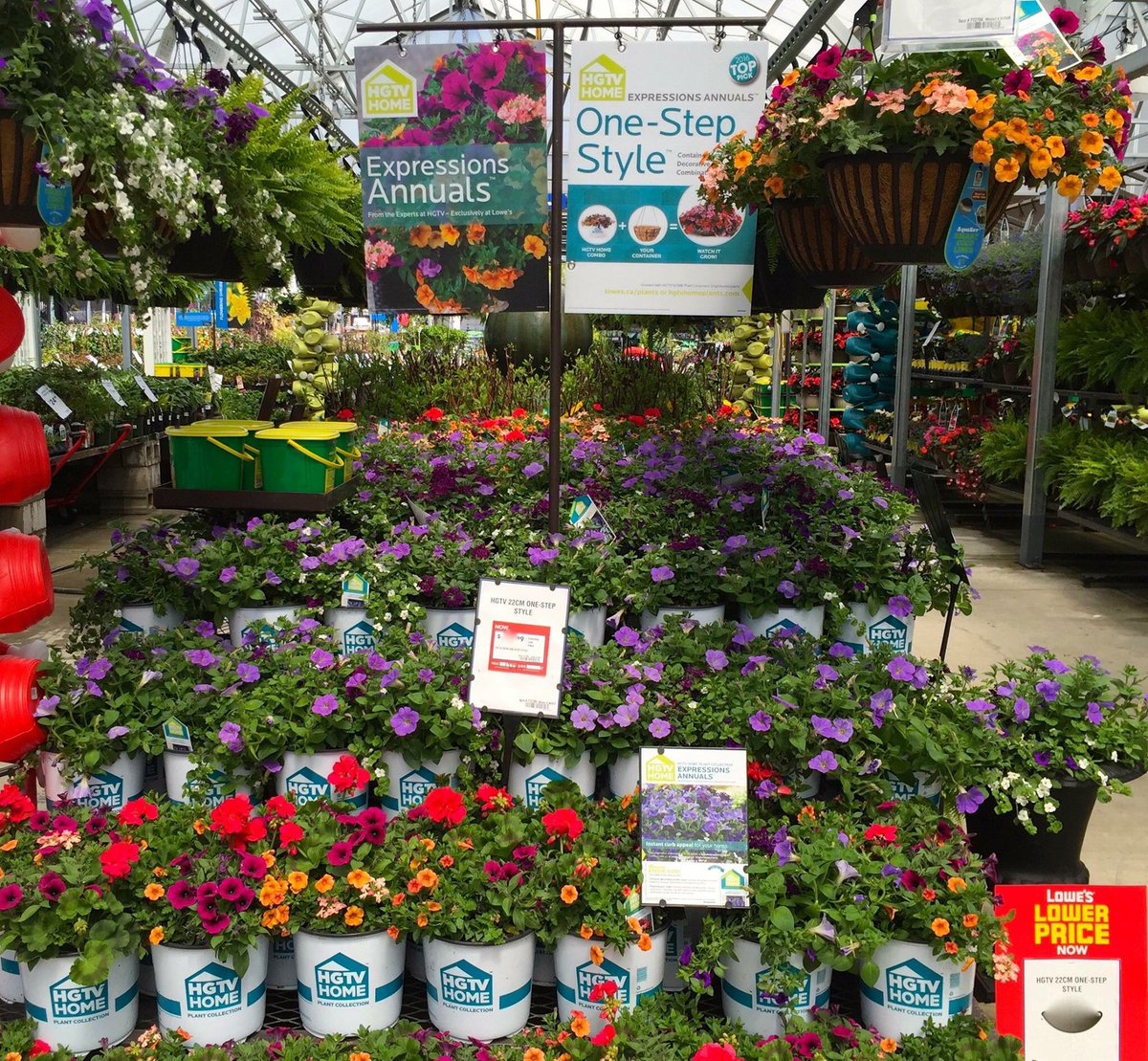 agricolaknows's tweet image. Find #NeonTreasure or your favorite #HGTV #OneStepStyle combo now @Lowes_Canada @Lowes @hgtvcanada @hgtv