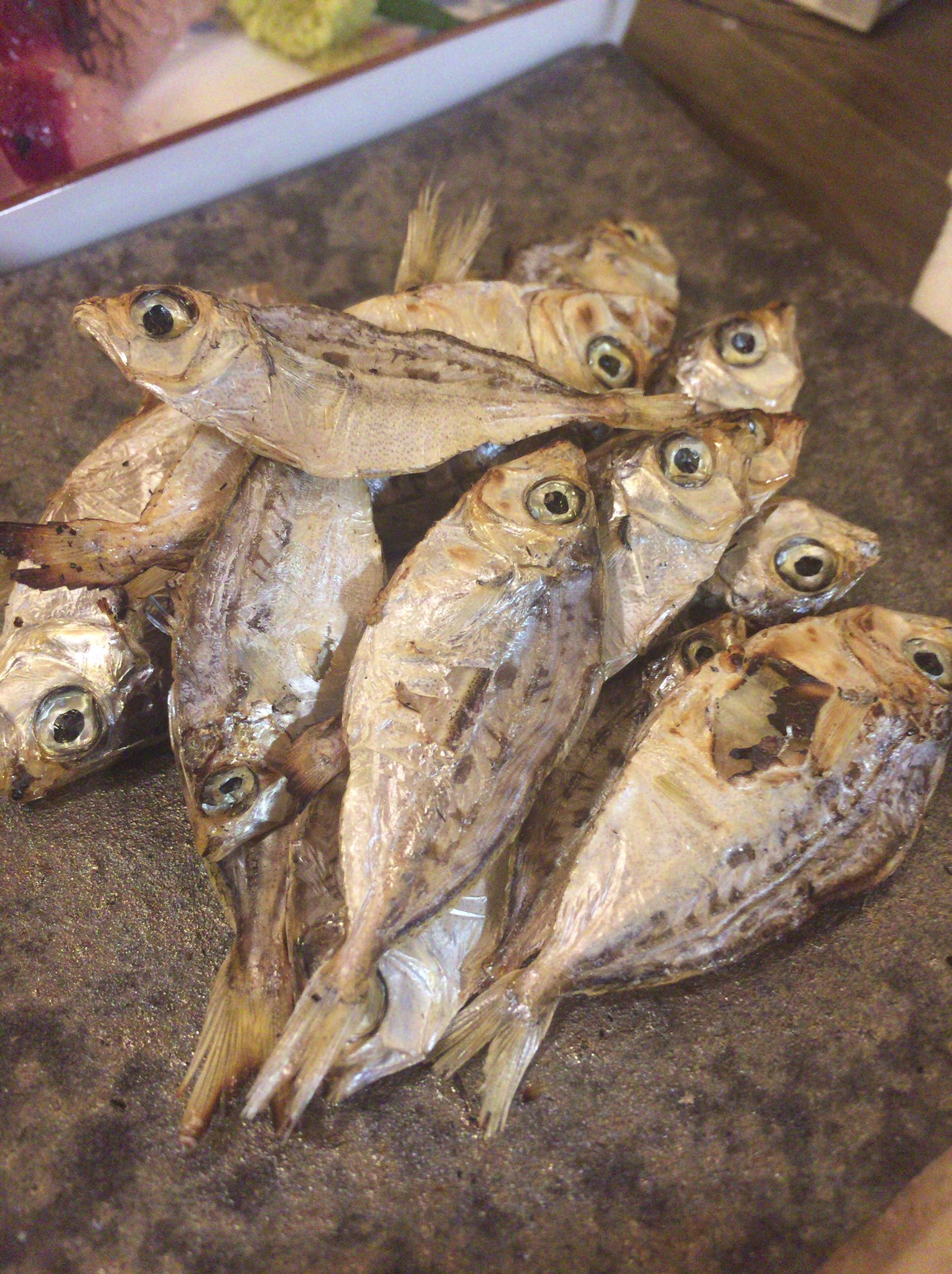 小西貴雄 ギンタ和歌山のマニアねぬ魚 ヒイラギの子供 酒にはこれらしい やばい 和歌山いいぞー ひと T Co Hteydzgqgg Twitter