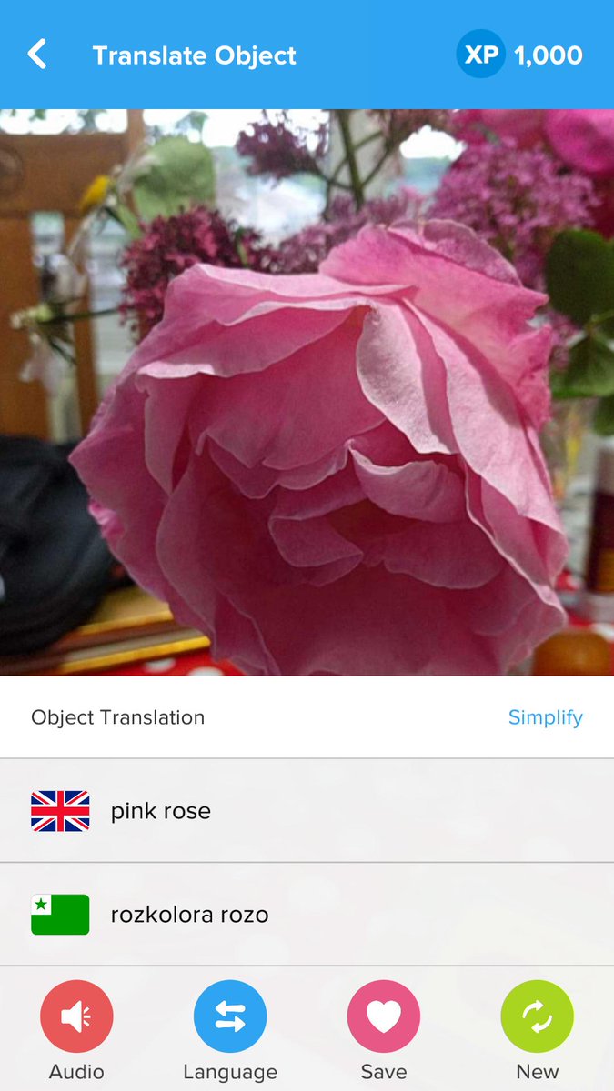 Lingotasticuk's tweet photo. @FlashAcademyApp Is this the only #Esperanto #objectscan ? https://t.co/uxfp8FGu9Y