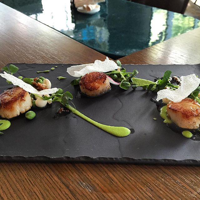 Showcase_Van's tweet photo. Our Seared Scallops are gluten free and perfect with a glass of white wine! #dinner #happyhour #veryvancouver https://t.co/oWvK2FVxbZ