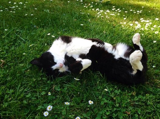 At last. Summer!!! Can you feel it?