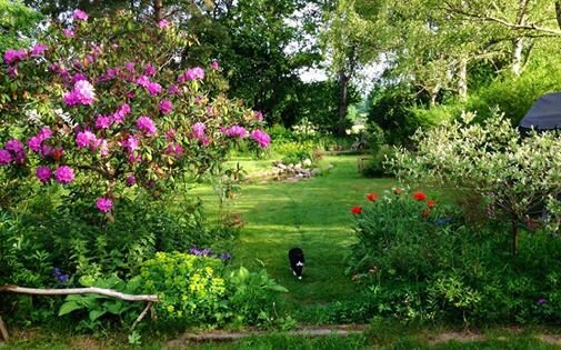 As I wander. I wa wa wa wa wonder. Is there anyone out there who isn't a retweet?