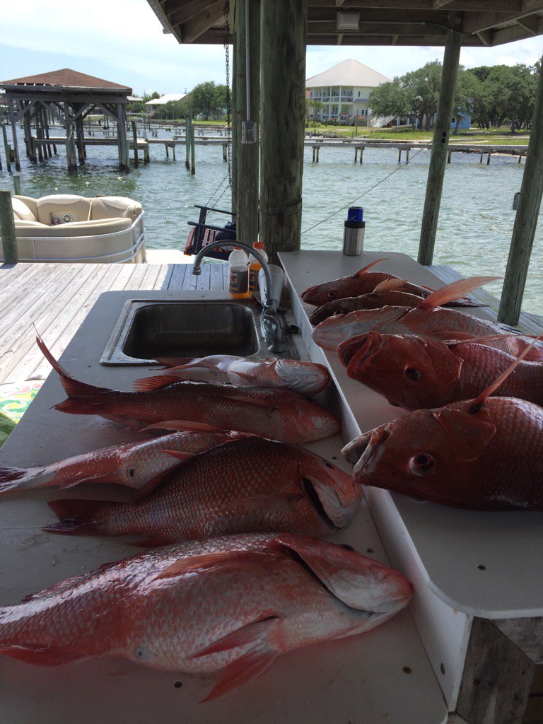 LarryLvenable01's tweet photo. Good fishing https://t.co/s77LEG2N6I