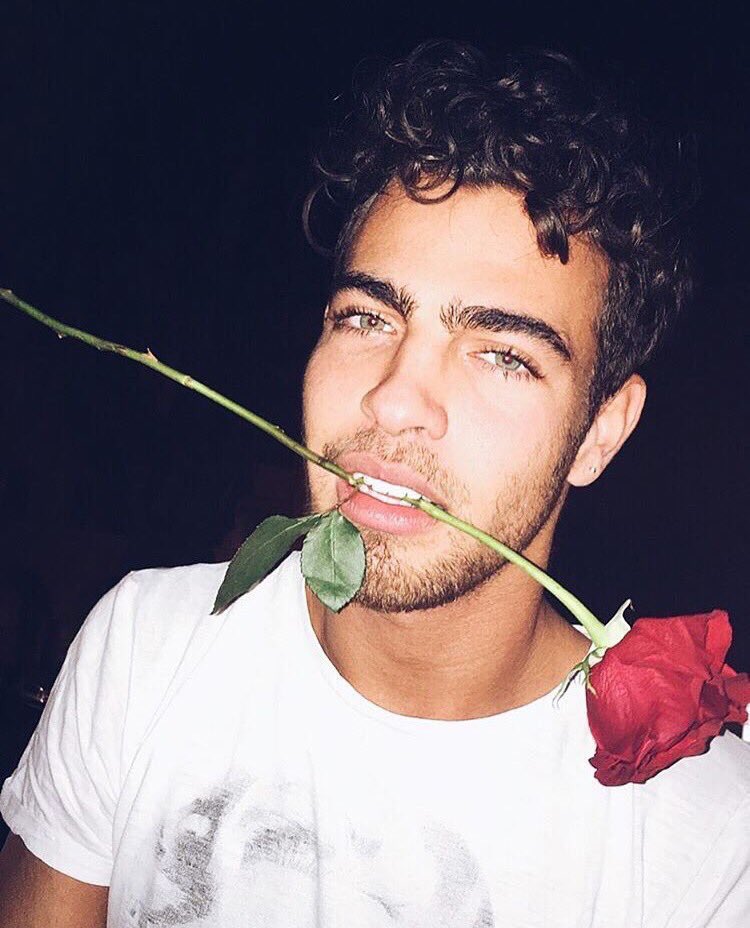officialcutebae's tweet photo. boyfriend material https://t.co/1VWpbkfqnI