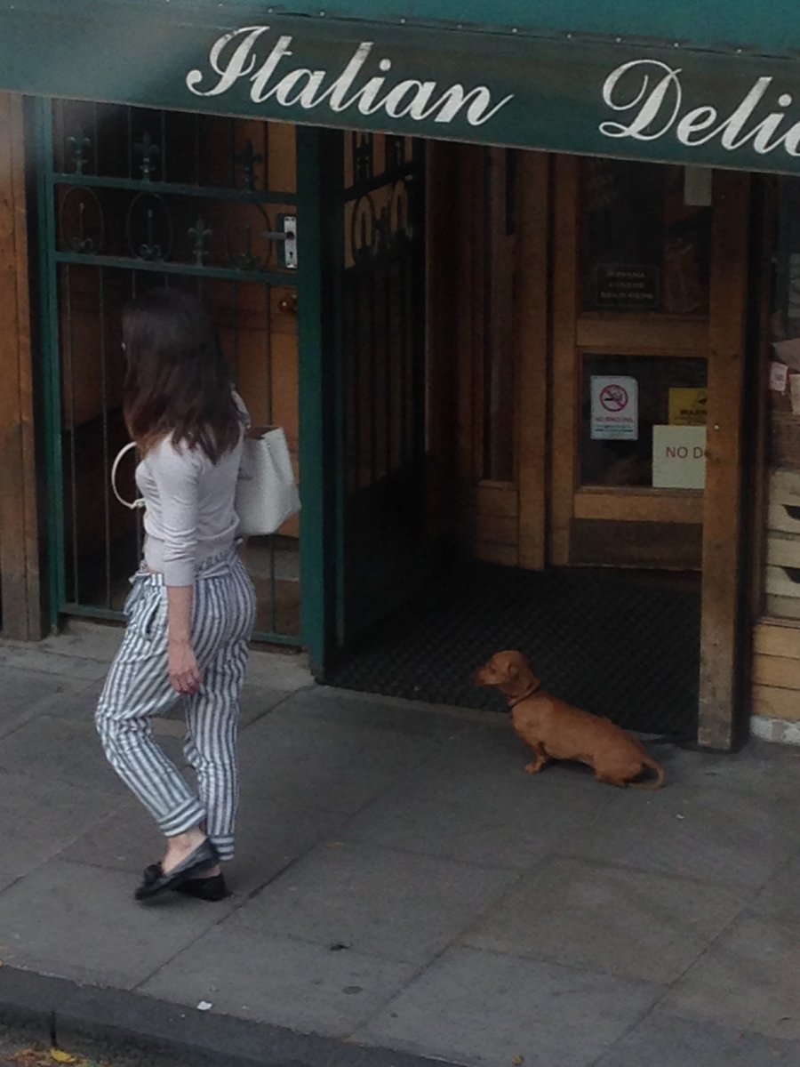 jadehumbug's tweet photo. #poised #nodogs https://t.co/B3HuovCyhZ