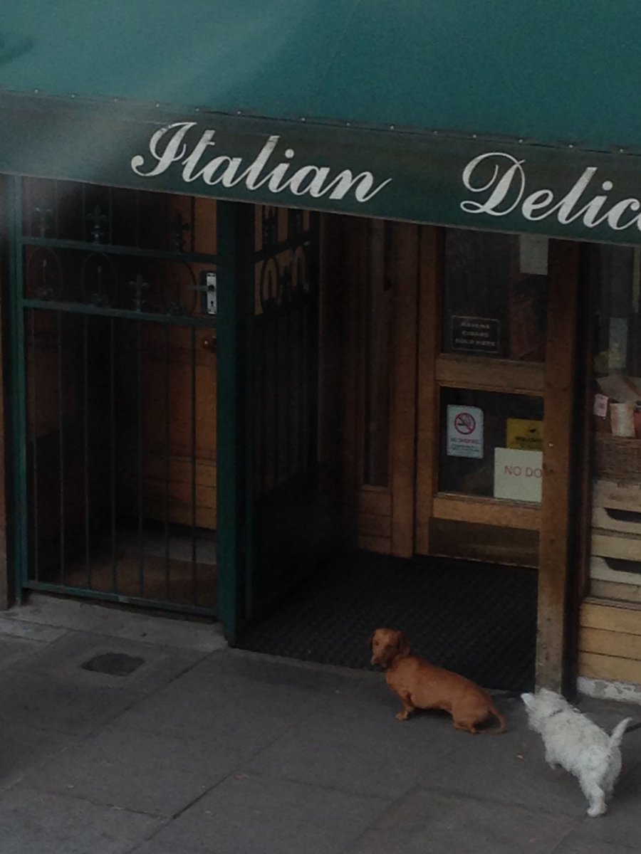 jadehumbug's tweet photo. #poised #nodogs https://t.co/B3HuovCyhZ