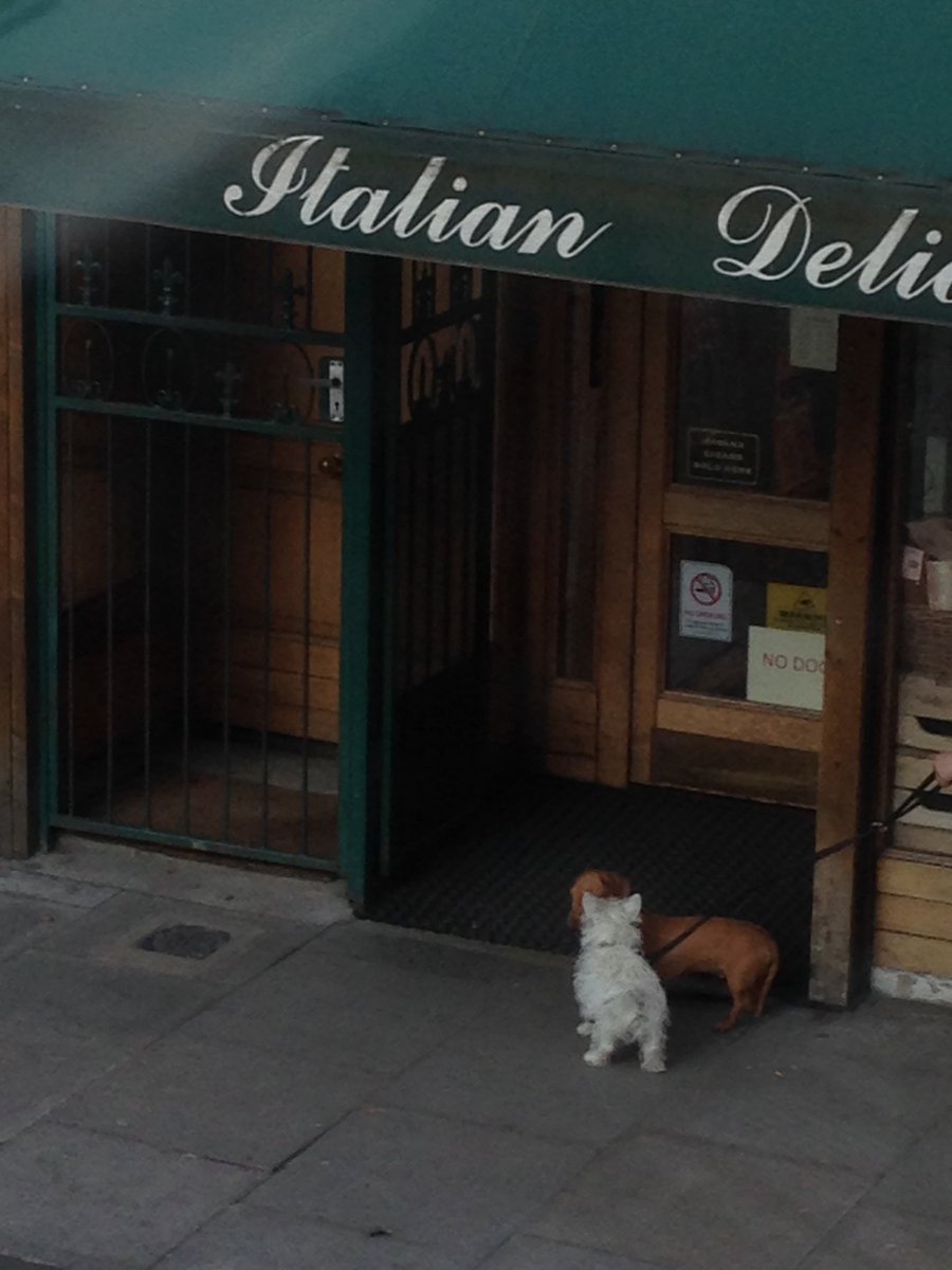 jadehumbug's tweet photo. #poised #nodogs https://t.co/B3HuovCyhZ