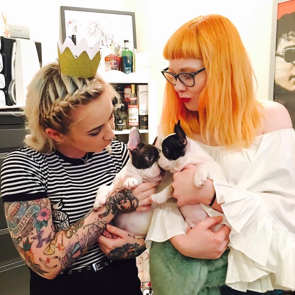 hellorogue's tweet photo. Brother and sister reunited! 🐶💖 @foreveryoursbetty #brolive #frenchiepuppy #frenchiesofins… https://t.co/qH01XXmDNI https://t.co/v3yw306ESe