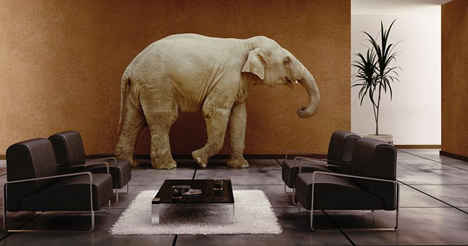 The Elephant in the Room: Five Tips for Working with Unrealistic Sellers
 bit.ly/1U4bEZp