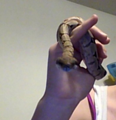Sooo I may have an obsession over him. He is just to cute though