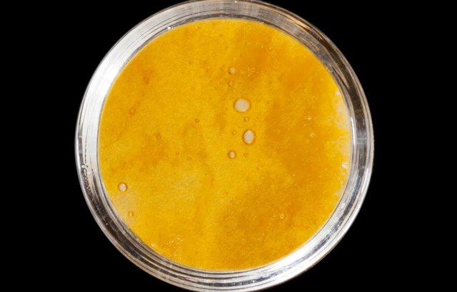 HIGH_TIMES_Mag's tweet photo. #WATCH 2016 Michigan Medical Cannabis Cup: Hybrid Concentrate Entries. https://t.co/HaZX9elUWD https://t.co/PFkOcpsEmK