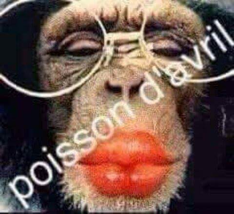 baldeissabobo's tweet image. 