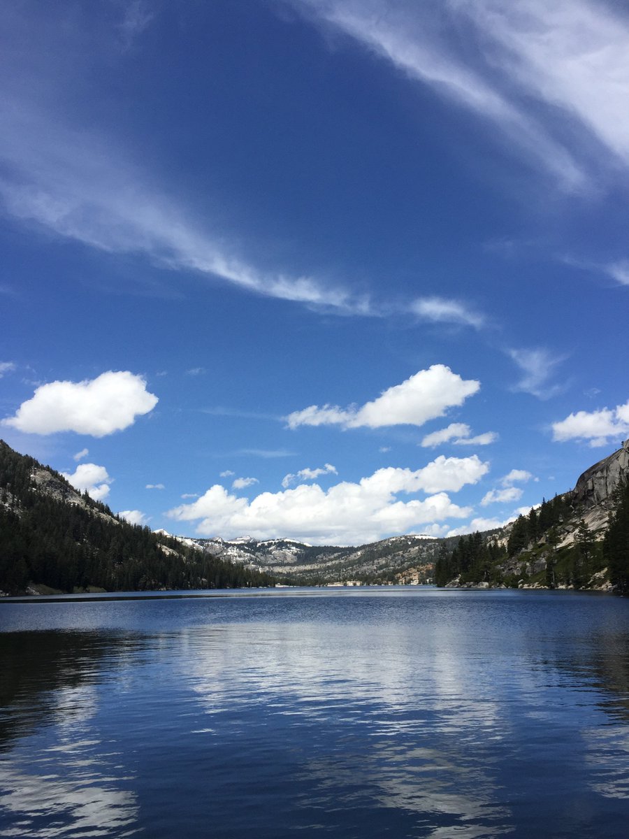 rubyplusrose's tweet image. Communed with nature today, and it was good. #callofthewild #tahoe #themountainsarecalling #saturdayvibes