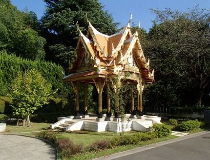 上野動物園百年史 Amazon.co.jp: 上野動物園百年史 : 本