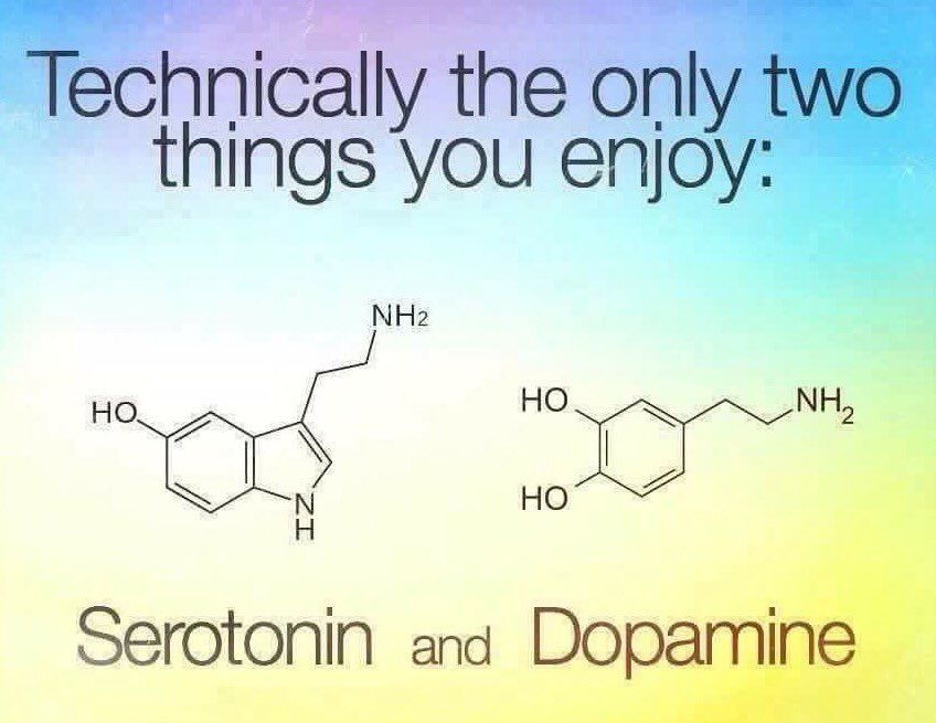 dopamine is not your brain s reward chemical neuwrite san diego