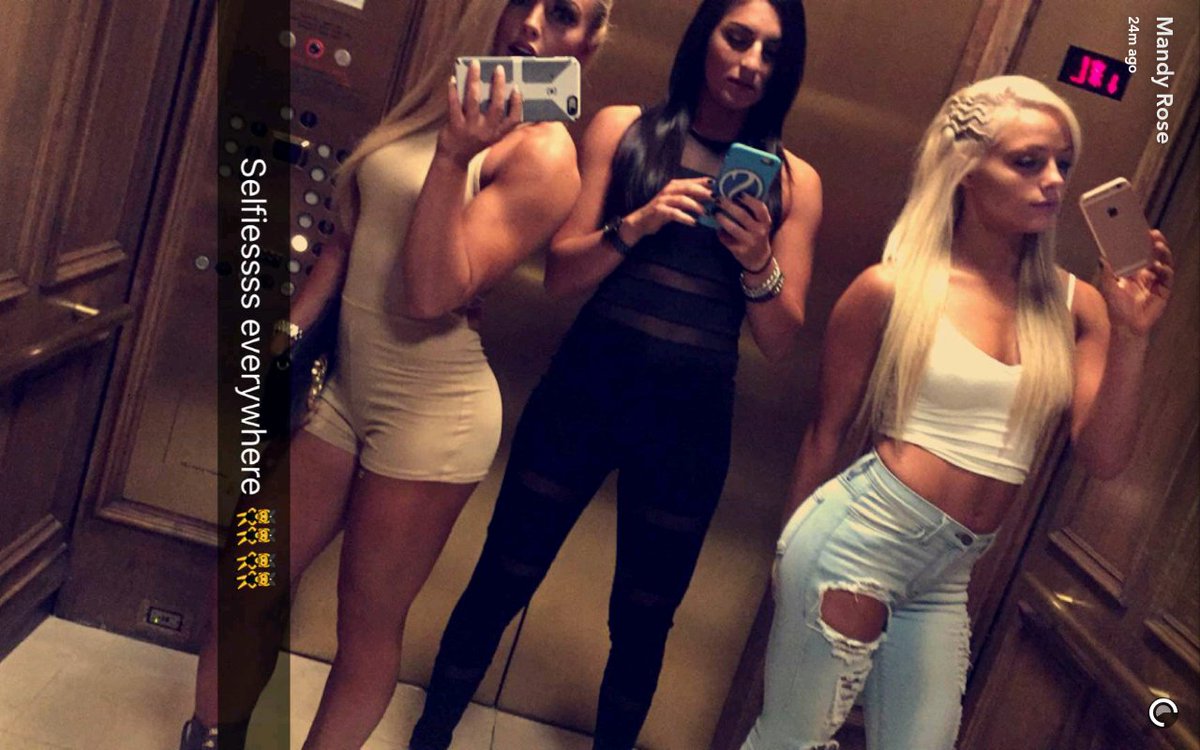 ImposingRose's tweet image. 