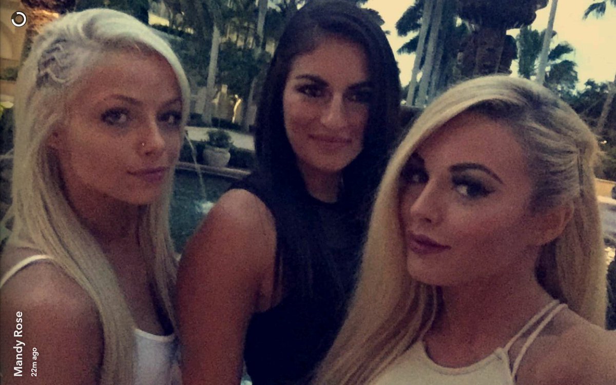 ImposingRose's tweet image. 