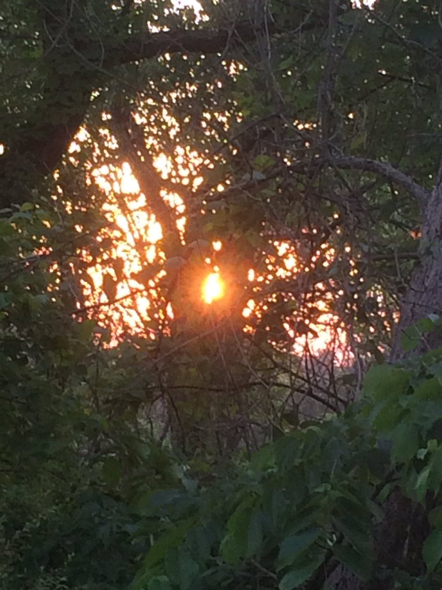 ellelljaytoo's tweet photo. #Saturday #Sunset in #south park @pittsburghparks #ThingsToDo412 @BoringPGH #blessed @WPXIScott https://t.co/h9keeIo8nc