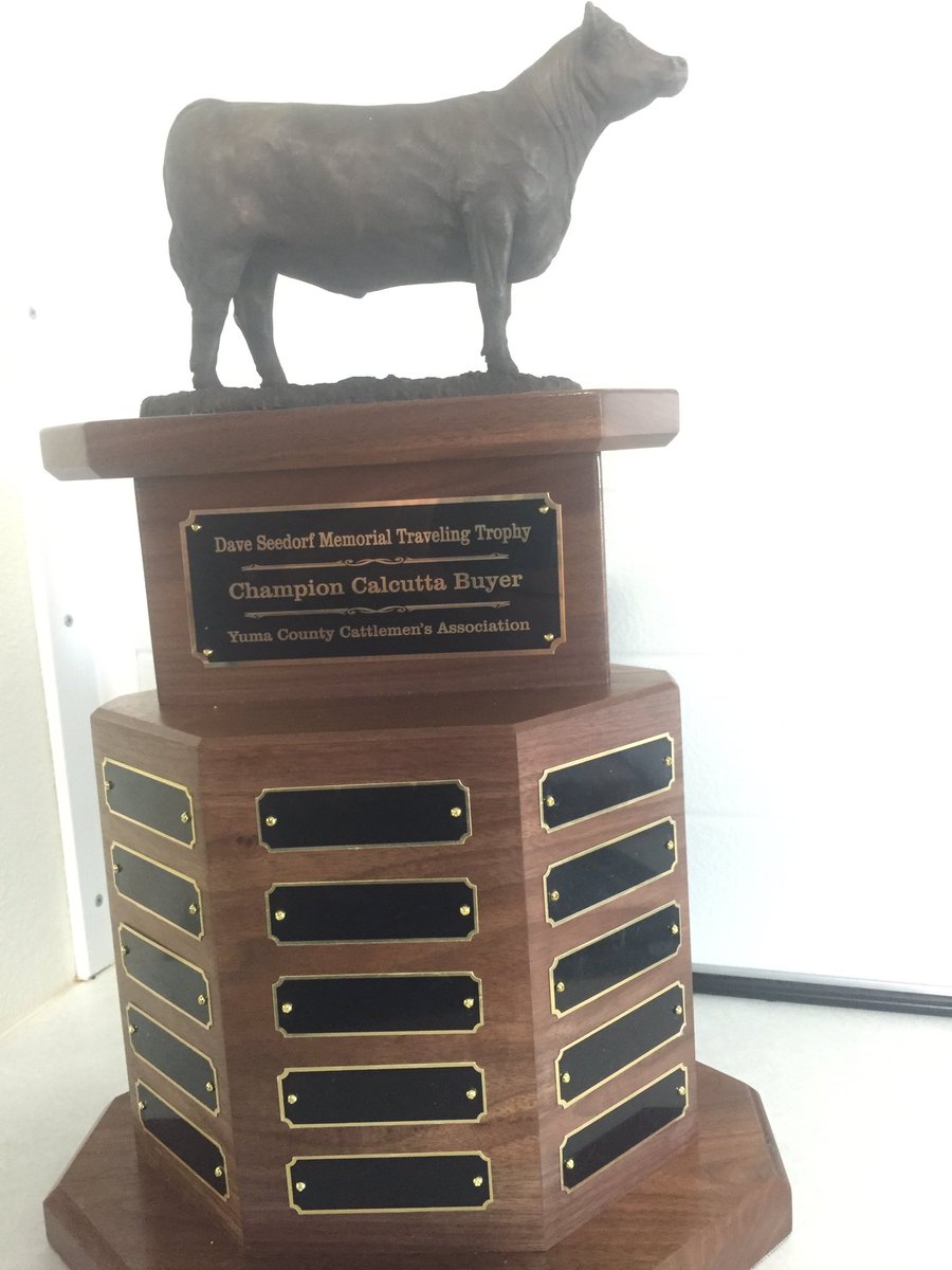 CCA_EVP's tweet photo. Yuma County Cattlemens fed contest banquet tonight. Since inception $215,000 in scholarships. @ColoradoCattle https://t.co/myUKA5u7pD