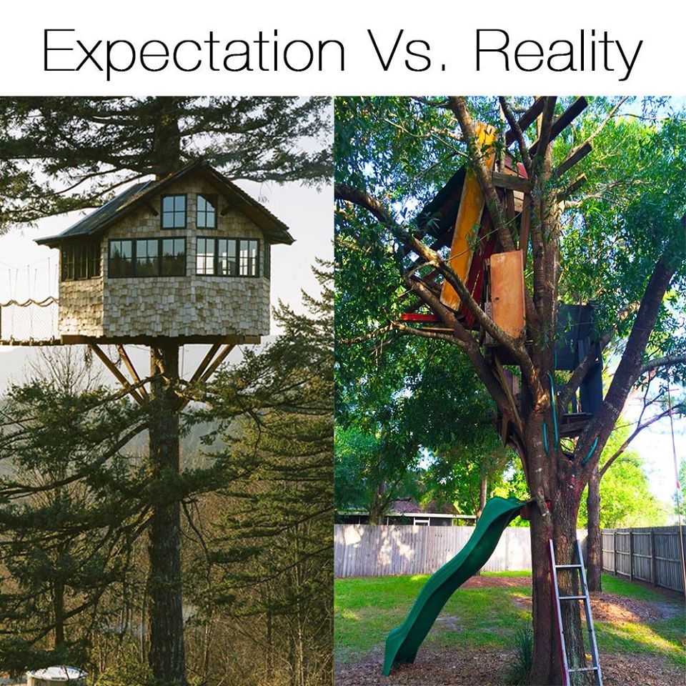 funnyordie's tweet image. Next time, just buy an extra large birdhouse.