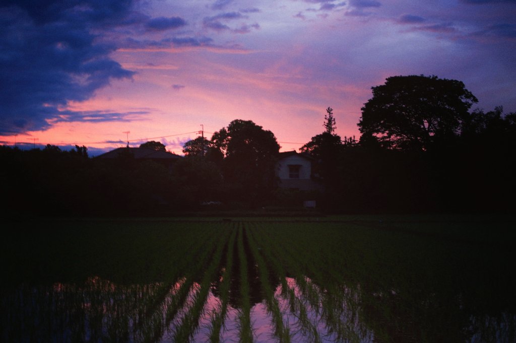 morrirsal's tweet photo. 日曜だし写真の整理しよー
とりあえず撮ったの晒す

#ファインダー越しの私の世界 
#写真好きな人と繋がりたい 
#写真でつながるフォロー祭り
#フォローミー https://t.co/9XBr49MfpK